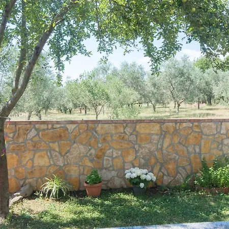 דירה App Mari אומאג